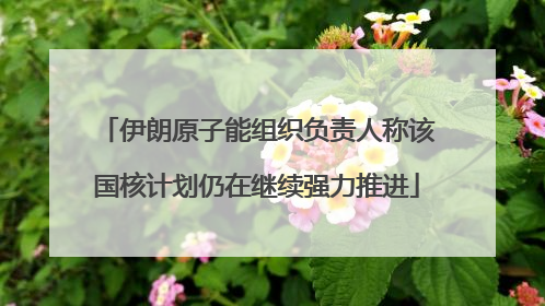 伊朗原子能组织负责人称该国核计划仍在继续强力推进