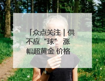 众点关注｜供不应“球” 涨幅超黄金 价格亲民的羽毛球为何身价飞涨？