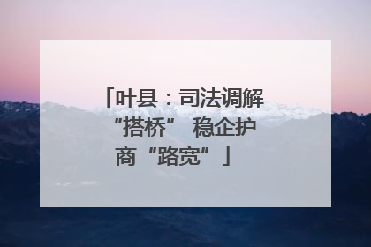叶县：司法调解“搭桥” 稳企护商“路宽”