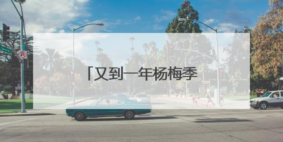 又到一年杨梅季！浙江杨梅赴沪参加世界级食品展