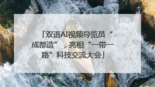 双语AI视频导览员“成都造”，亮相“一带一路”科技交流大会