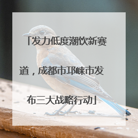 发力低度潮饮新赛道，成都市邛崃市发布三大战略行动