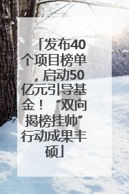 发布40个项目榜单，启动50亿元引导基金！“双向揭榜挂帅”行动成果丰硕