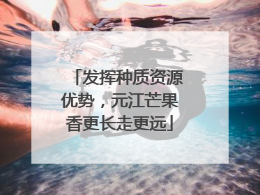 发挥种质资源优势，元江芒果香更长走更远