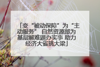 变“被动保障”为“主动服务” 自然资源部为基层解难题办实事 助力经济大省挑大梁