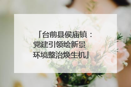 台前县侯庙镇：党建引领绘新景 环境整治焕生机