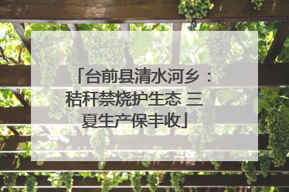 台前县清水河乡：秸秆禁烧护生态 三夏生产保丰收