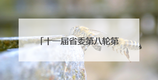 十一届省委第八轮第二批次巡视完成进驻