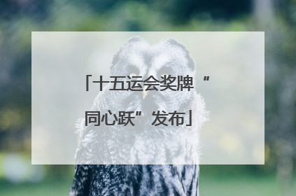 十五运会奖牌“同心跃”发布