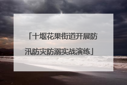 十堰花果街道开展防汛防灾防溺实战演练