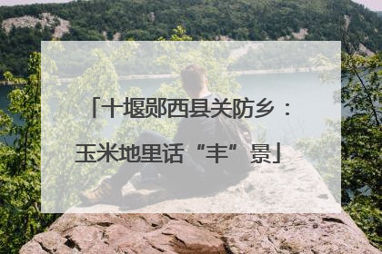 十堰郧西县关防乡：玉米地里话“丰”景