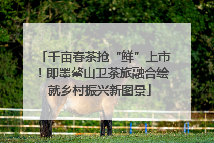 千亩春茶抢“鲜”上市！即墨鳌山卫茶旅融合绘就乡村振兴新图景