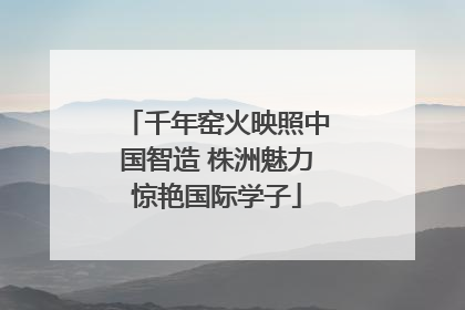 千年窑火映照中国智造 株洲魅力惊艳国际学子