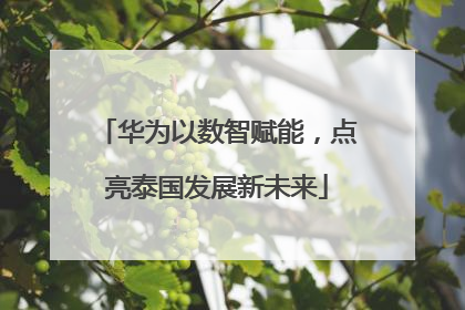 华为以数智赋能，点亮泰国发展新未来