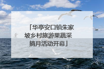 华亭安口镇朱家坡乡村旅游果蔬采摘月活动开幕