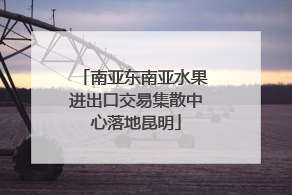 南亚东南亚水果进出口交易集散中心落地昆明