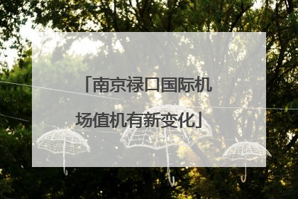 南京禄口国际机场值机有新变化