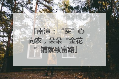 南漳：“医”心向农，朵朵“金花”铺就致富路