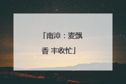 南漳：麦飘香 丰收忙