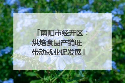 南阳市经开区：烘焙食品产销旺 带动就业促发展