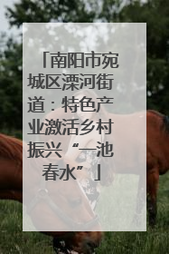 南阳市宛城区溧河街道：特色产业激活乡村振兴“一池春水”