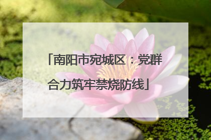 南阳市宛城区：党群合力筑牢禁烧防线