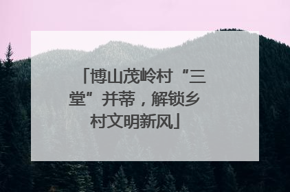 博山茂岭村“三堂”并蒂，解锁乡村文明新风
