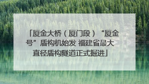 厦金大桥（厦门段）“厦金号”盾构机始发 福建省最大直径盾构隧道正式掘进