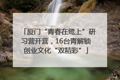 厦门“青春在鹭上”研习营开营，16台青解锁创业文化“双精彩”