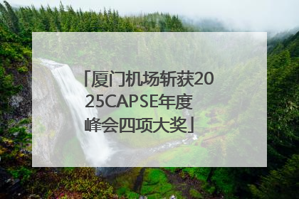 厦门机场斩获2025CAPSE年度峰会四项大奖