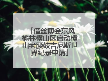 借丝博会东风 榆林横山区启动横山老腰鼓吉尼斯世界纪录申请