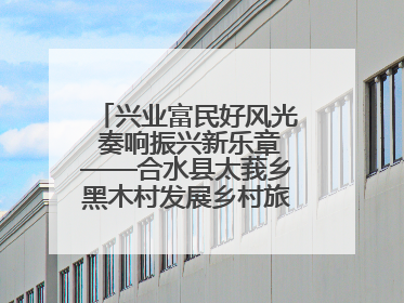兴业富民好风光 奏响振兴新乐章——合水县太莪乡黑木村发展乡村旅游纪实
