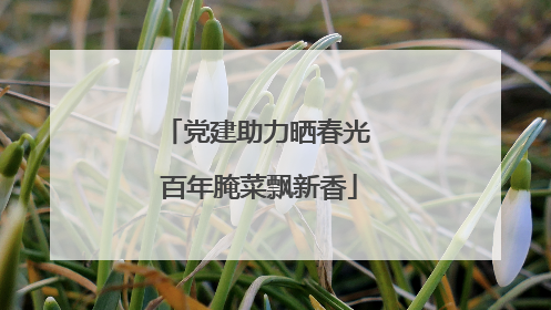 党建助力晒春光 百年腌菜飘新香