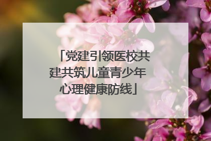 党建引领医校共建共筑儿童青少年心理健康防线