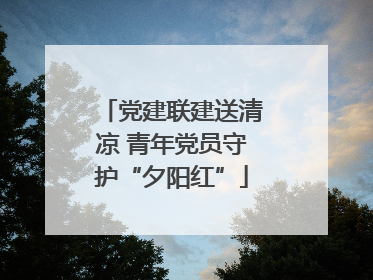 党建联建送清凉 青年党员守护“夕阳红”