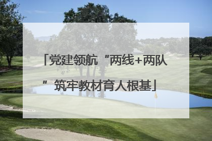 党建领航“两线+两队”筑牢教材育人根基