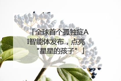 全球首个孤独症AI智能体发布，点亮“星星的孩子”