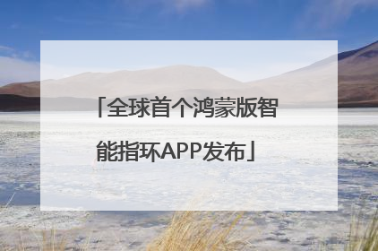 全球首个鸿蒙版智能指环APP发布