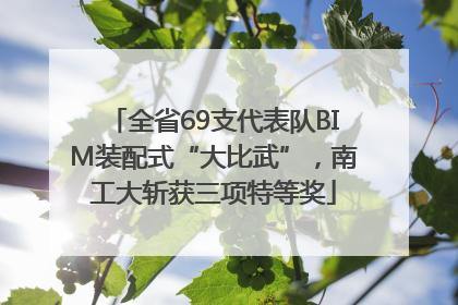 全省69支代表队BIM装配式“大比武”，南工大斩获三项特等奖