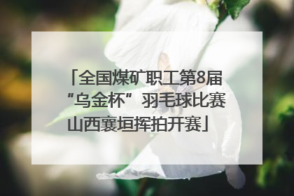 全国煤矿职工第8届“乌金杯”羽毛球比赛山西襄垣挥拍开赛
