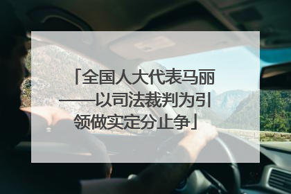 全国人大代表马丽——以司法裁判为引领做实定分止争