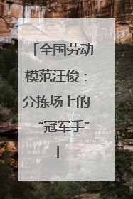 全国劳动模范汪俊：分拣场上的“冠军手”
