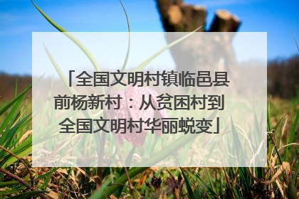 全国文明村镇临邑县前杨新村：从贫困村到全国文明村华丽蜕变