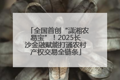 全国首创“潇湘农易宝”！2025长沙金融赋能打通农村产权交易全链条
