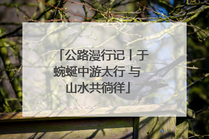 公路漫行记丨于蜿蜒中游太行 与山水共徜徉