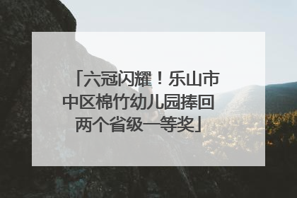 六冠闪耀！乐山市中区棉竹幼儿园捧回两个省级一等奖