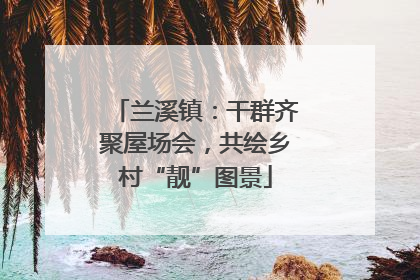 兰溪镇：干群齐聚屋场会，共绘乡村“靓”图景
