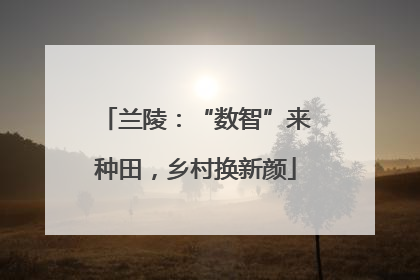 兰陵：“数智”来种田，乡村换新颜