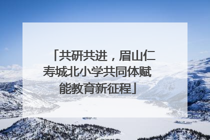 共研共进，眉山仁寿城北小学共同体赋能教育新征程