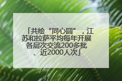 共绘“同心圆”，江苏和拉萨平均每年开展各层次交流200多批、近2000人次